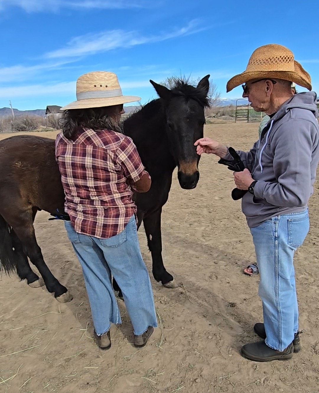 Volunteer with a rescued mustang