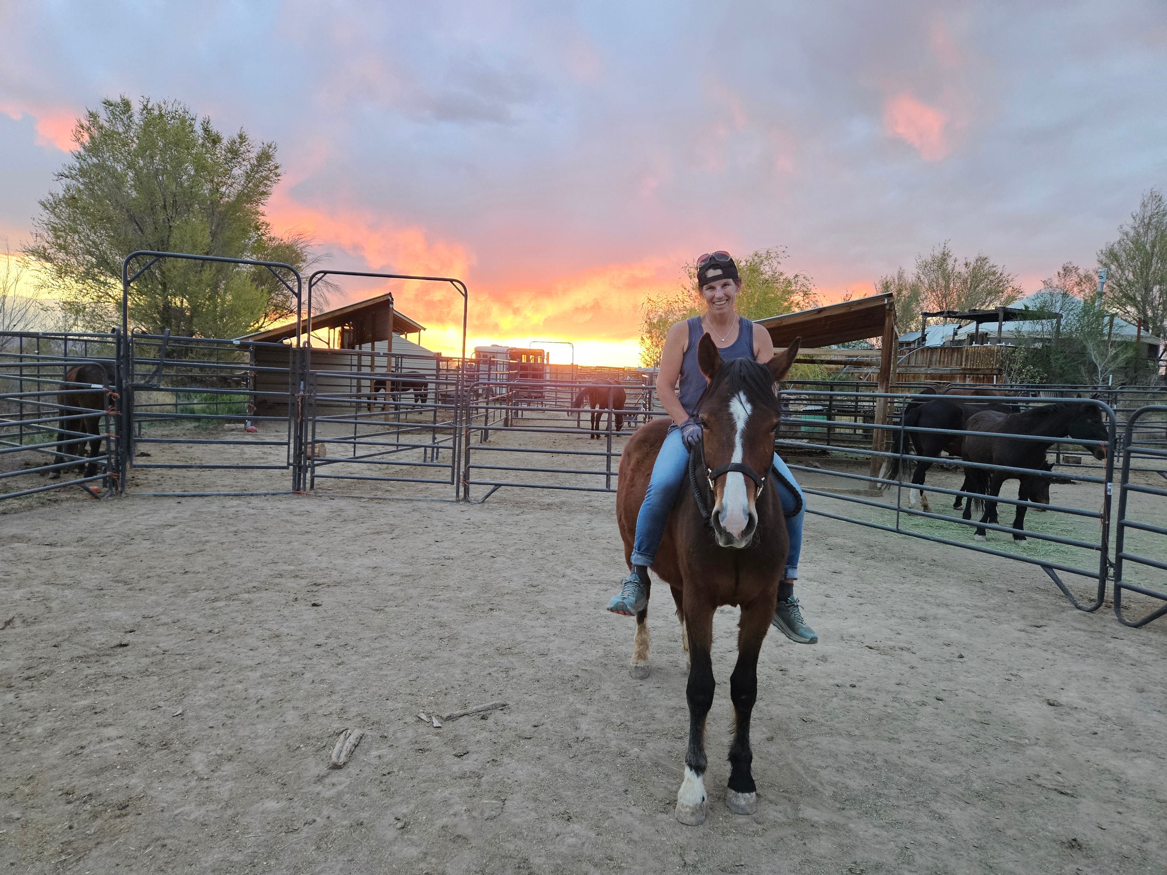 Horse trainer bonding with a mustang at Desert Gemini Mustangs